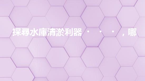 探尋水庫清淤利器，哪個品牌能助你事半功倍？
